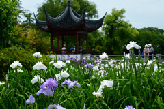 250607水月公園16