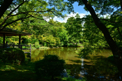 250731京都植物園31