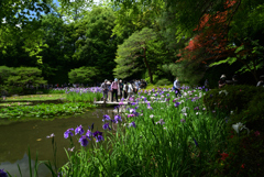 220607平安神宮19