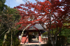 211116a常照寺02