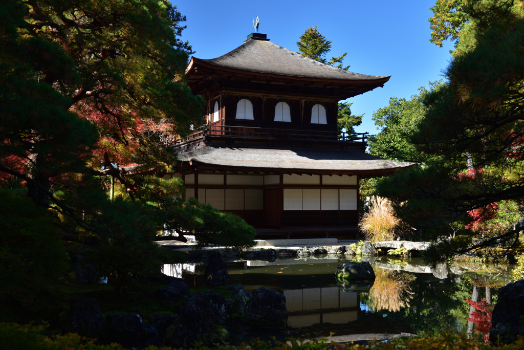 191123a銀閣寺33