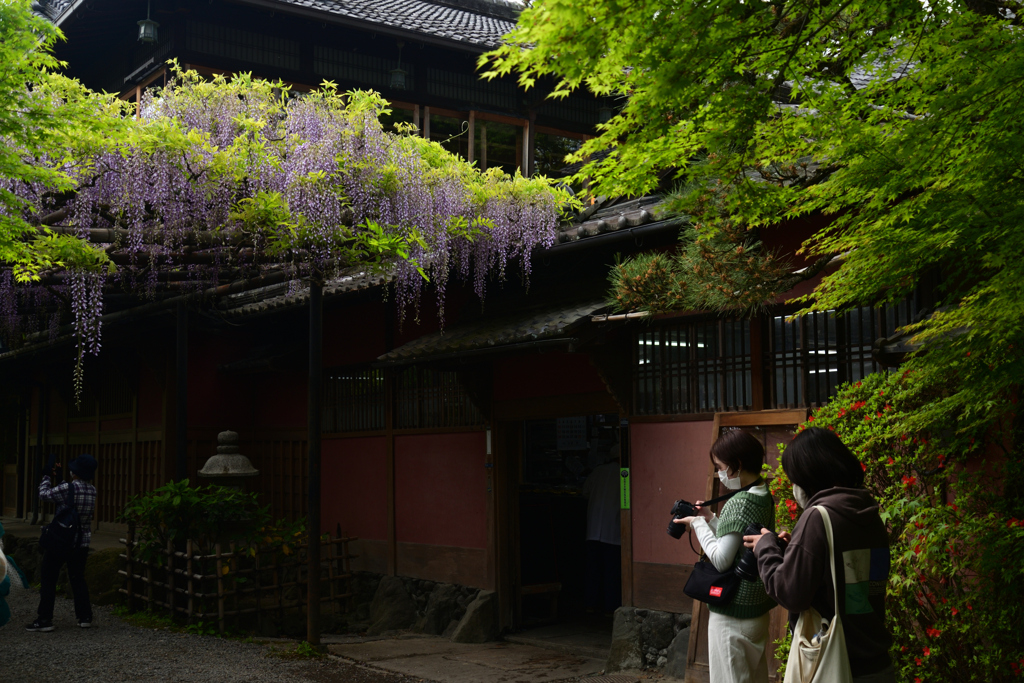 220423長岡天満宮40