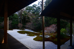 250121b建仁寺西来院13