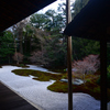 250121b建仁寺西来院13