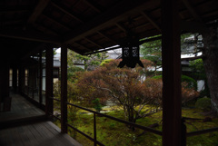210112妙心寺大心院66