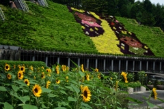 180622a宇治植物園29+