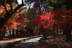 241215a上賀茂神社18