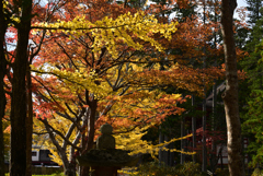 211103高野山67