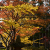 211103高野山67