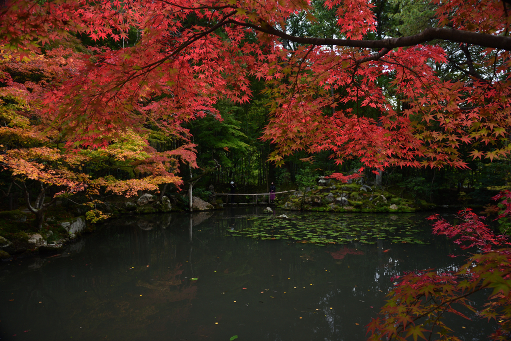 201113南禅寺46天授庵