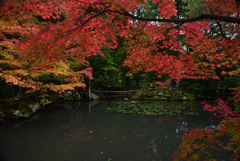 201113南禅寺46天授庵