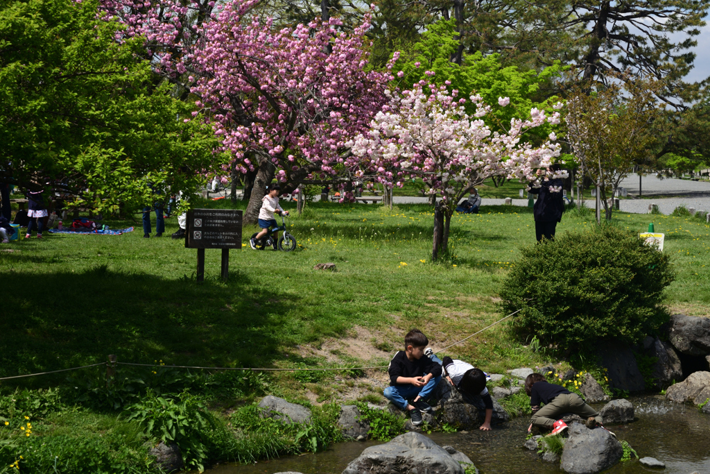 220416d京都御苑46