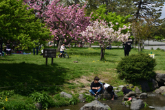 220416d京都御苑46