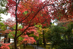 211119a清凉寺10