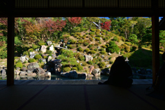 231121c智積院30