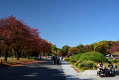 201114大阪城01