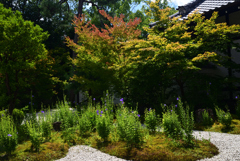 220819b蘆山寺25