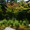 220819b蘆山寺25