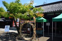 200719d六道珍皇寺02