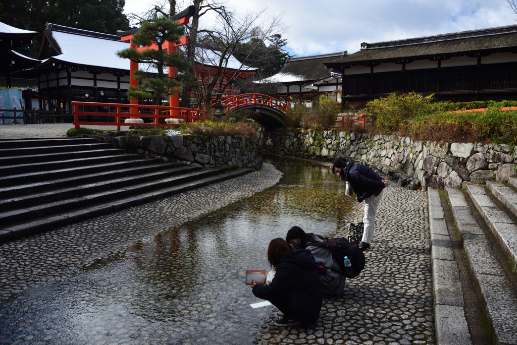 201217下鴨神社40