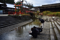 201217下鴨神社40