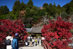 201115a室生寺06