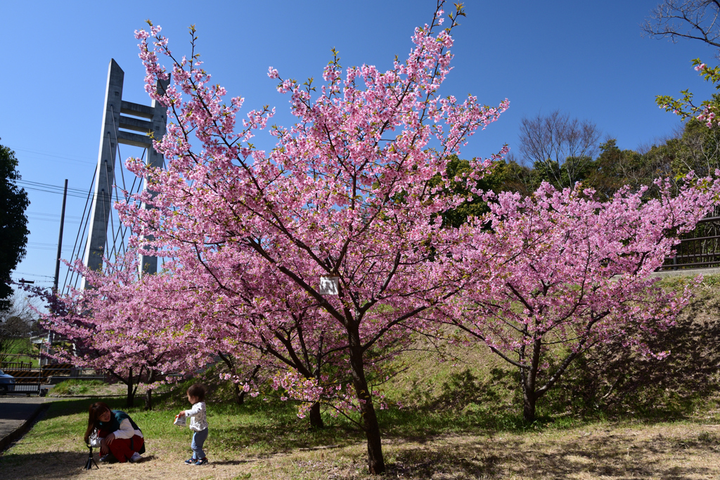 230314a山田池公園26