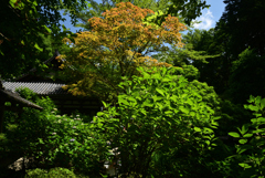220612a岩船寺35