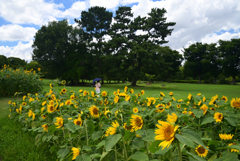 220729万博公園57