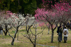 240210a山田池公園35