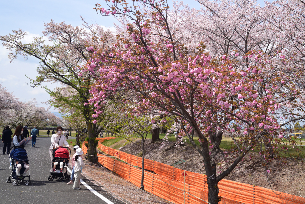 230402b自衛隊宇治31