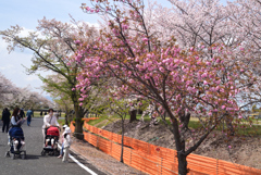 230402b自衛隊宇治31