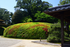 230502慈光院17
