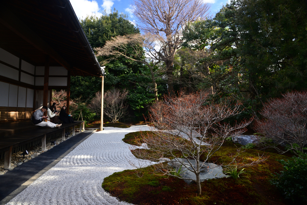 250121b建仁寺西来院29