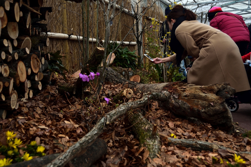 180211植物園14+