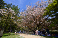 230404a京都御苑28