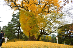 251128京都御苑30