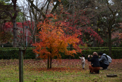 201213c京都御苑29