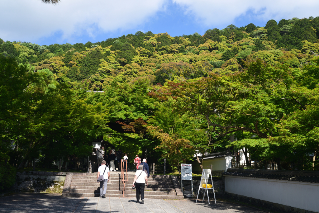 240521e永観堂19