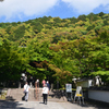 240521e永観堂19