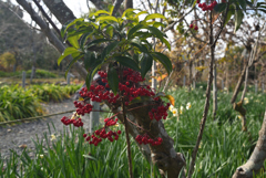 220116b恵心院19