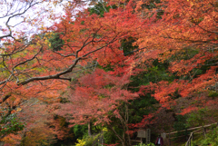 191126b高山寺55
