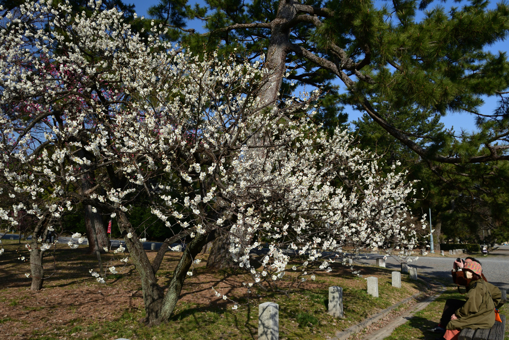 230307b京都御苑40