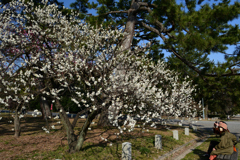 230307b京都御苑40