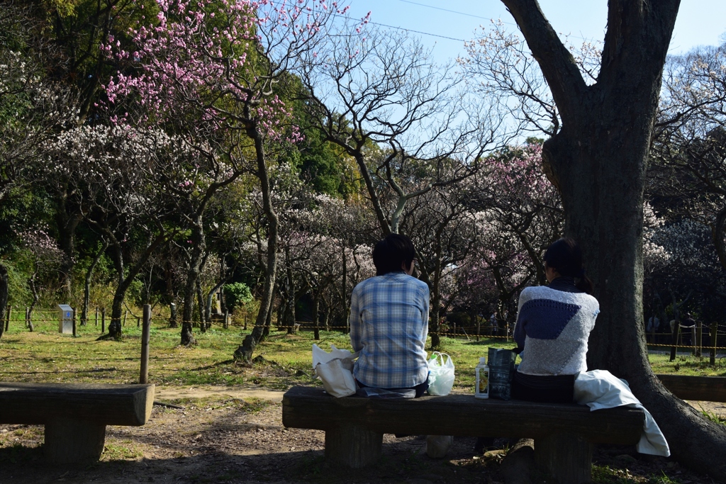 180314d意賀美神社51+