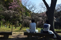 180314d意賀美神社51+