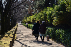 220209京都植物園03