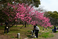250325a京都御苑06