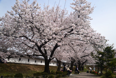 230331b勝竜寺城06