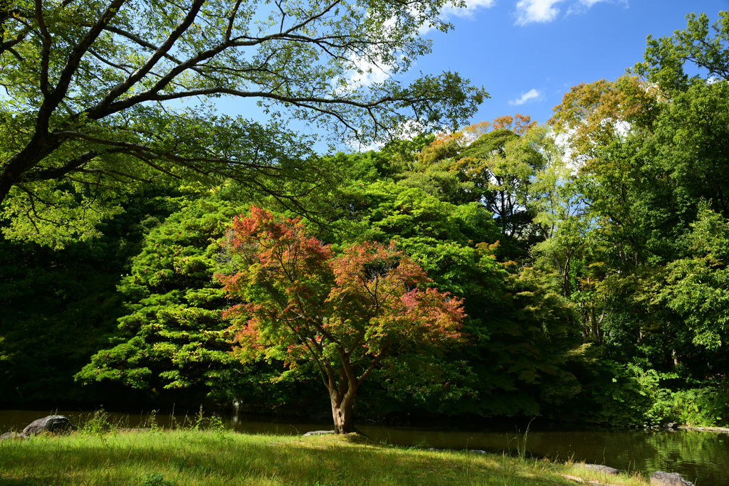 231012万博公園15